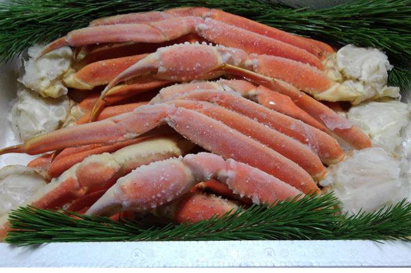 食品加工イメージ